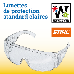 Lunettesde protection standard claires