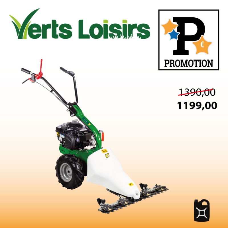 Motofaucheuse thermique VERTS LOISIRS VLM210