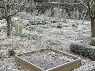 Le jardin durant l'hiver !