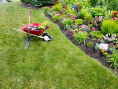 Le jardin au printemps !